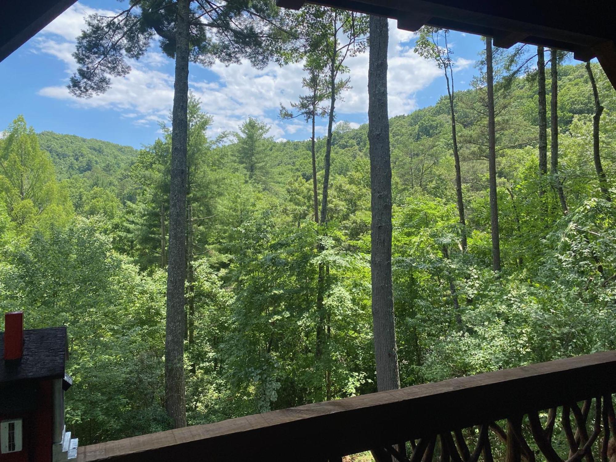 Вілла The Cozy Lazy Laurel With Year-Round Mountain Views, Hot Tub, Fire Pit Cherry Log Екстер'єр фото