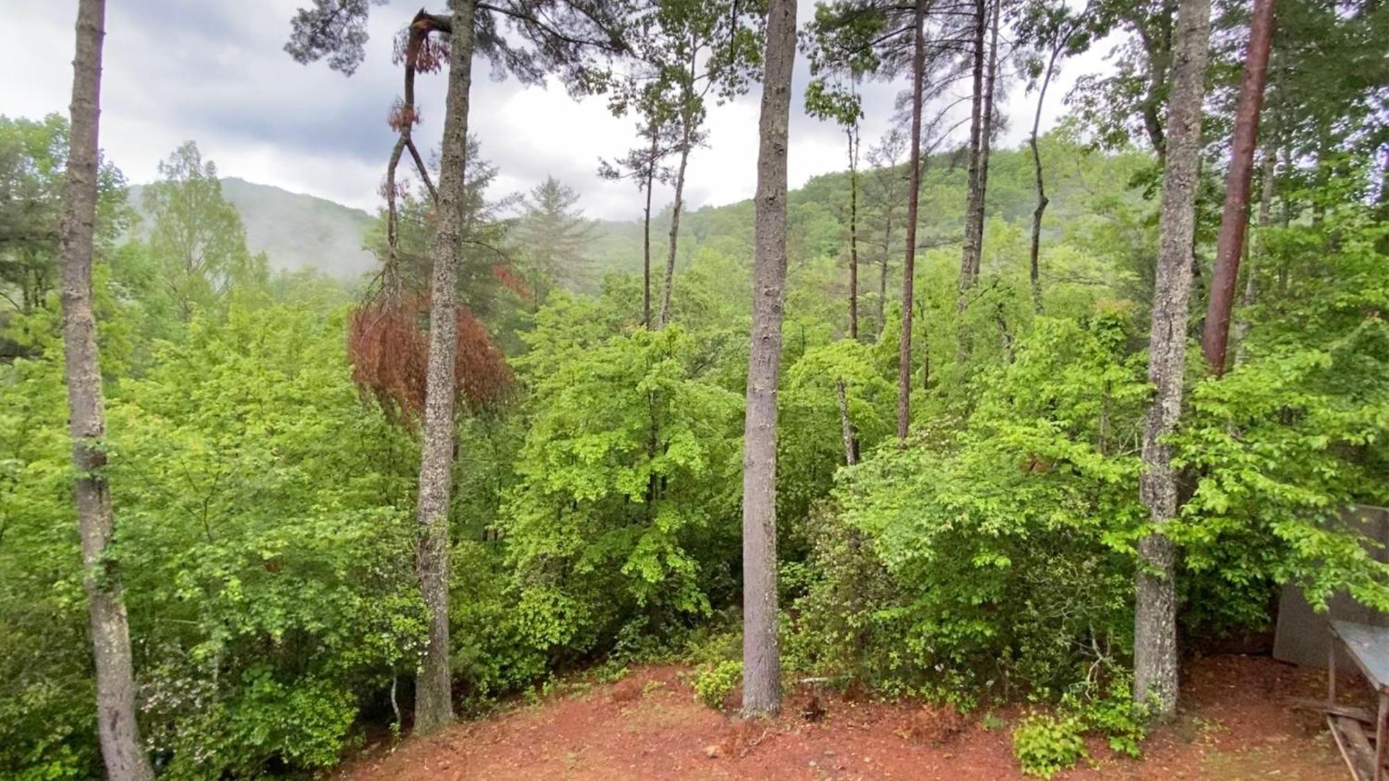Вілла The Cozy Lazy Laurel With Year-Round Mountain Views, Hot Tub, Fire Pit Cherry Log Екстер'єр фото